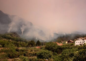 Unos 26.000 evacuados por incendios en isla española de Tenerife. Foto: AFP