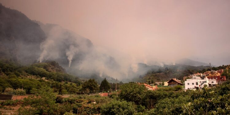 Unos 26.000 evacuados por incendios en isla española de Tenerife. Foto: AFP