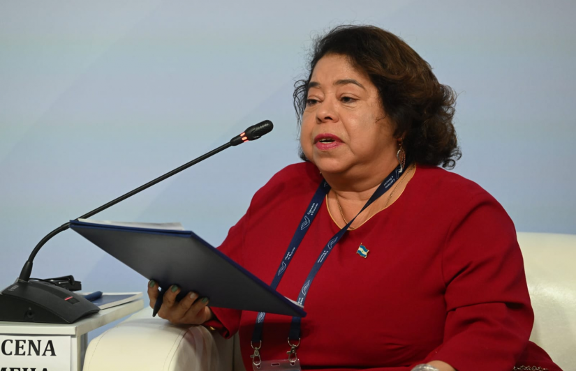 Alba Azucena Torres Mejía ostenta 8 cargos de embajadora