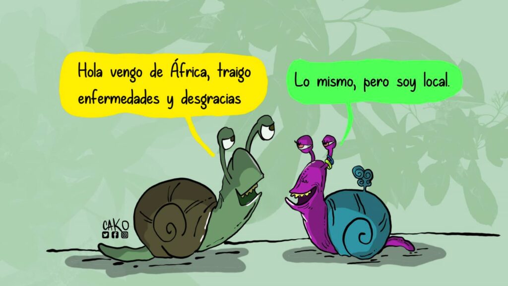 La Caricatura: Pestes