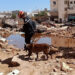 Ayuda internacional llega a Libia tras devastadoras inundaciones. Foto: AFP