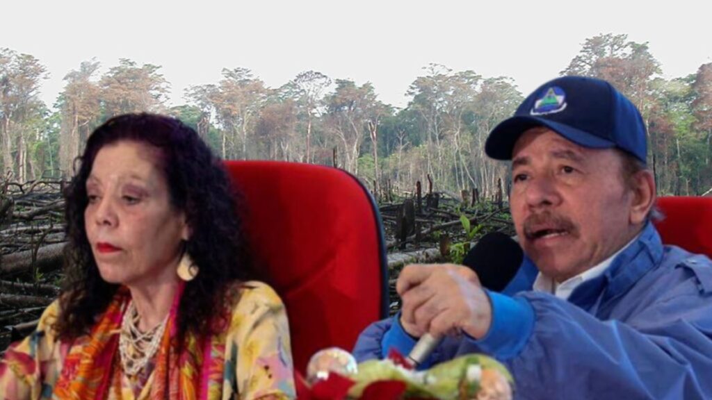 Ortega sigue mintiéndole al Fondo Verde para conseguir millones de dólares a costa de los bosques, denuncia Fundación del Río
