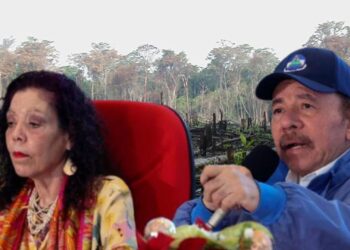 Ortega desesperado por conseguir más de U$116 millones a costa de los bosques.