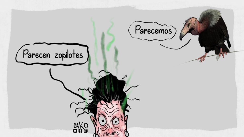 La Caricatura: Zopilote