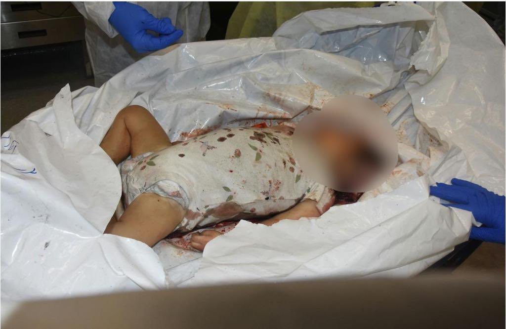 Netanyahu mostró a Blinken fotos de bebés asesinados por Hamás
