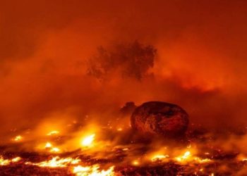 Millas de evacuados por un incendio en California