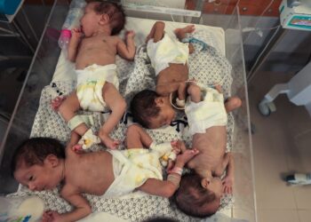 Los bebés prematuros palestinos, evacuados del hospital Al Shifa de la ciudad de Gaza, reciben atención antes de su traslado desde un hospital en Rafah, en el sur de la Franja de Gaza, a Egipto, el 20 de noviembre de 2023, en medio de las batallas en curso entre Israel y el grupo militante Hamás.