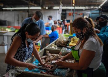 Los vendedores limpian pescado en el mercado municipal de Chacao en Caracas en medio de la nueva pandemia de coronavirus COVID-19, el 3 de septiembre de 2020, mientras aumenta la inflación en Venezuela, que se encuentra en medio de la peor crisis económica de su historia después de siete años de recesión. Venezuela cuenta con las mayores reservas probadas de petróleo del mundo, pero bajo la dirección de Nicolás Maduro, el país ha caído en una crisis. La pobreza se ha disparado, la inflación es la más alta del mundo, la moneda prácticamente no tiene valor y la producción de petróleo ha caído a su nivel más bajo en 77 años, lo que los expertos atribuyen a la mala gestión y la corrupción. (Foto de Federico PARRA/AFP)