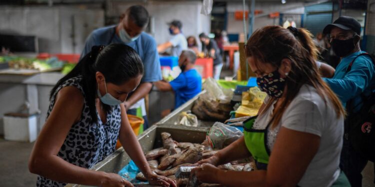 Los vendedores limpian pescado en el mercado municipal de Chacao en Caracas en medio de la nueva pandemia de coronavirus COVID-19, el 3 de septiembre de 2020, mientras aumenta la inflación en Venezuela, que se encuentra en medio de la peor crisis económica de su historia después de siete años de recesión. Venezuela cuenta con las mayores reservas probadas de petróleo del mundo, pero bajo la dirección de Nicolás Maduro, el país ha caído en una crisis. La pobreza se ha disparado, la inflación es la más alta del mundo, la moneda prácticamente no tiene valor y la producción de petróleo ha caído a su nivel más bajo en 77 años, lo que los expertos atribuyen a la mala gestión y la corrupción. (Foto de Federico PARRA/AFP)