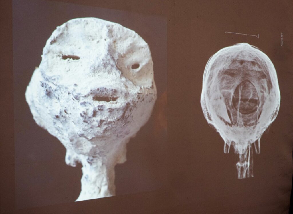 Perú afirma que las «momias extraterrestres» exhibidas en México son un fraude