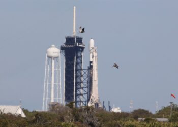 Pelicans glide above the Turning Basin past a SpaceX Falcon 9 rocket, ready for the Intuitive Machines' Nova-C moon lander mission at launch pad LC-39A, at the Kennedy Space Center in Cape Canaveral, Florida, on February 13, 2024. - Intuitive Machines' Nova-C moon lander mission is set to launch February 14, 2024 as part of NASAs Commercial Lunar Payload Services (CLPS) program to understand more about the the Moons surface ahead of coming Artemis missions. Intuitive Machines' Odysseus lander would be the first US spacecraft to land on the moon in over 50 years and is expected to land near the south pole of the moon on February 22. (Photo by Gregg Newton / AFP)