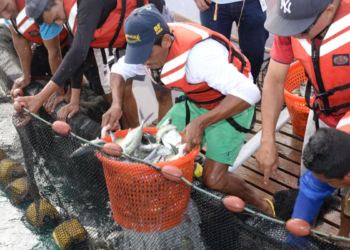 Pese a las restricciones emitidas por la Fuerza Naval de Nicaragua y el Ejército, algunos pescadores continúan con los zarpes porque, para ellos, es un asunto de sobrevivencia. Foto: La Prensa | M. Esquivel.