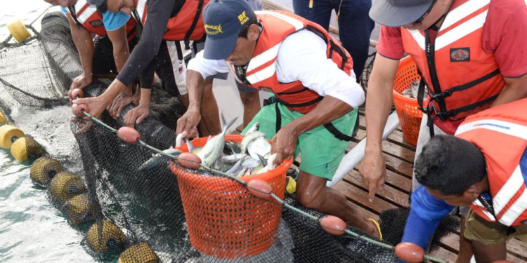 Pese a las restricciones emitidas por la Fuerza Naval de Nicaragua y el Ejército, algunos pescadores continúan con los zarpes porque, para ellos, es un asunto de sobrevivencia. Foto: La Prensa | M. Esquivel.
