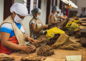 Las nuevas empresas del tabaco, y que se asegura serían de capital cubano-nicaragüense, se encuentran en lugares pocos visibles a la población y su función es bastante discreta.