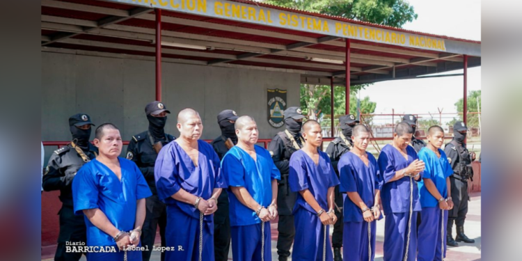 Dictadura sandinista condena a 22 años de prisión a guardabosques de las comunidades indígenas. Foto: Barricada
