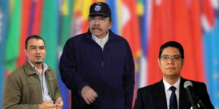 Luis Andino y Harold Delgado, fichas de Ortega en el cuerpo diplomático 3