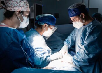 Trasplantan por primera vez un riñón de cerdo a un paciente vivo en Estados Unidos