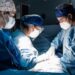 Trasplantan por primera vez un riñón de cerdo a un paciente vivo en Estados Unidos