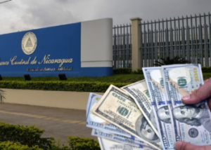 Sector agropecuario y minería impulsaron el aumento de exportaciones en Nicaragua en 2025