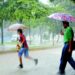 Las primeras lluvias de la temporada lluviosa en el país, se esperan hasta finales de mayo. Según el Ineter.
