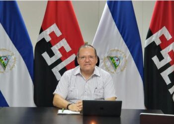 Viceministro del Marena, destituido por Ortega, por fracaso de su régimen en el proyecto de Fondo Verde. Foto: El 19 Digital.