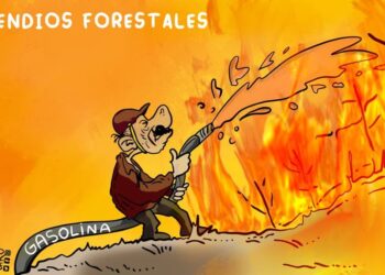 La Caricatura: Gobierno eficiente contra incendios