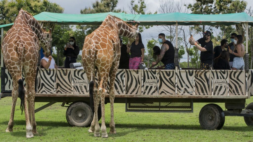 Costa Rica cierra los zoológicos estatales tras 11 años de litigios