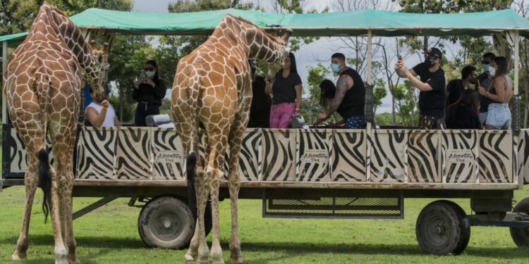 Costa Rica cierra los zoológicos estatales tras 11 años de litigios