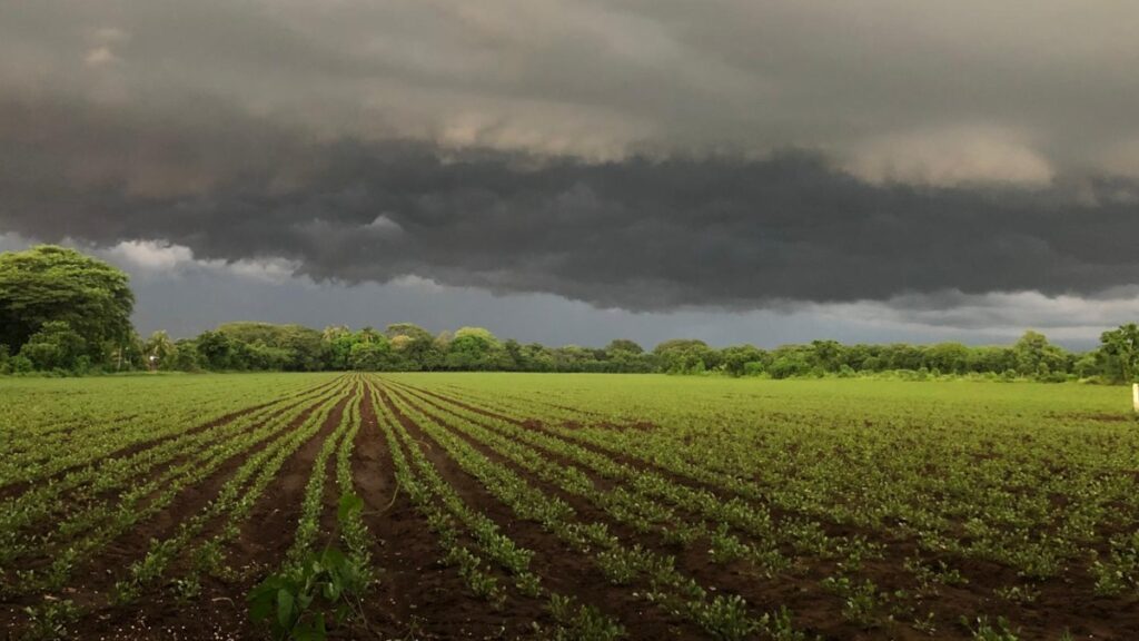 Comunidades de León y Chinandega han sufrido inclemencias meteorológicas: lluvias tardías pero copiosas