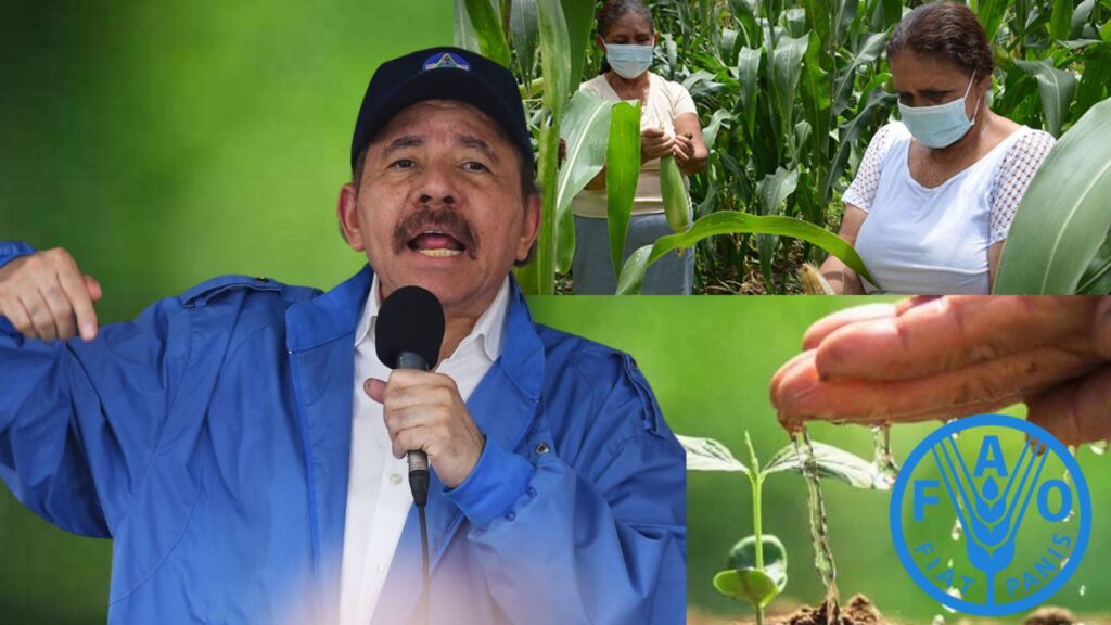 La FAO, la organización que expulsó Ortega, ejecutaba más de 30 proyectos en Nicaragua