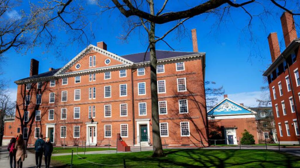 EE. UU. ordena a sus embajadas reanudar el procesamiento de visas para estudiantes y académicos de Harvard tras fallo judicial