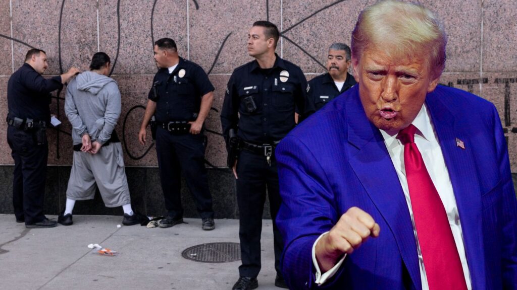 Trump ordena nuevas redadas migratorias en Los Ángeles, Chicago y Nueva York
