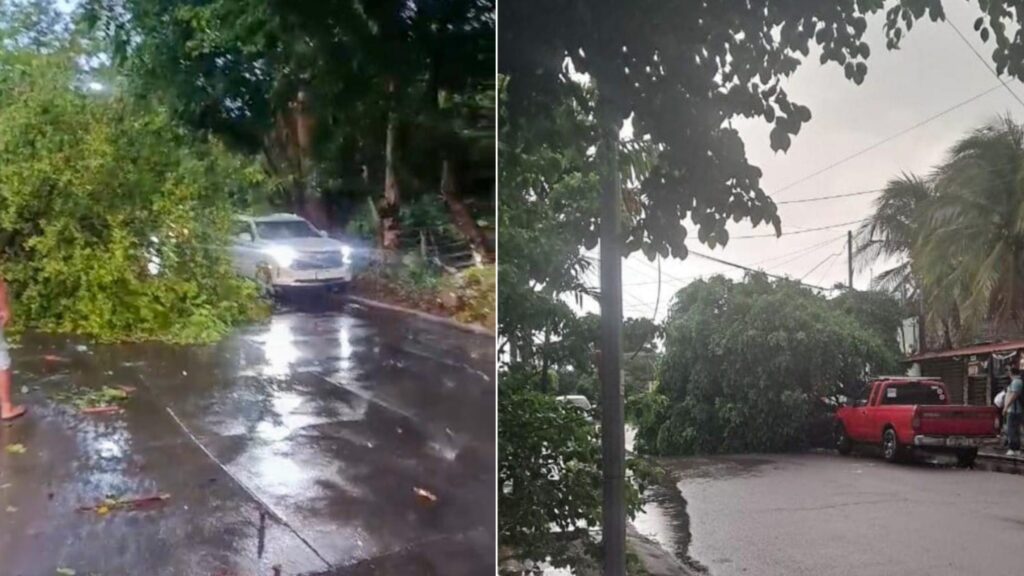 lluvias-en-managua-arboles-caidos-alcaldia-de-managua-1-scaled