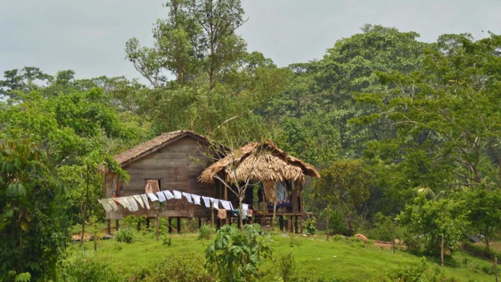 Colonos invasores asesinan a un anciano indígena mayangna en Mukwas, Bonanza