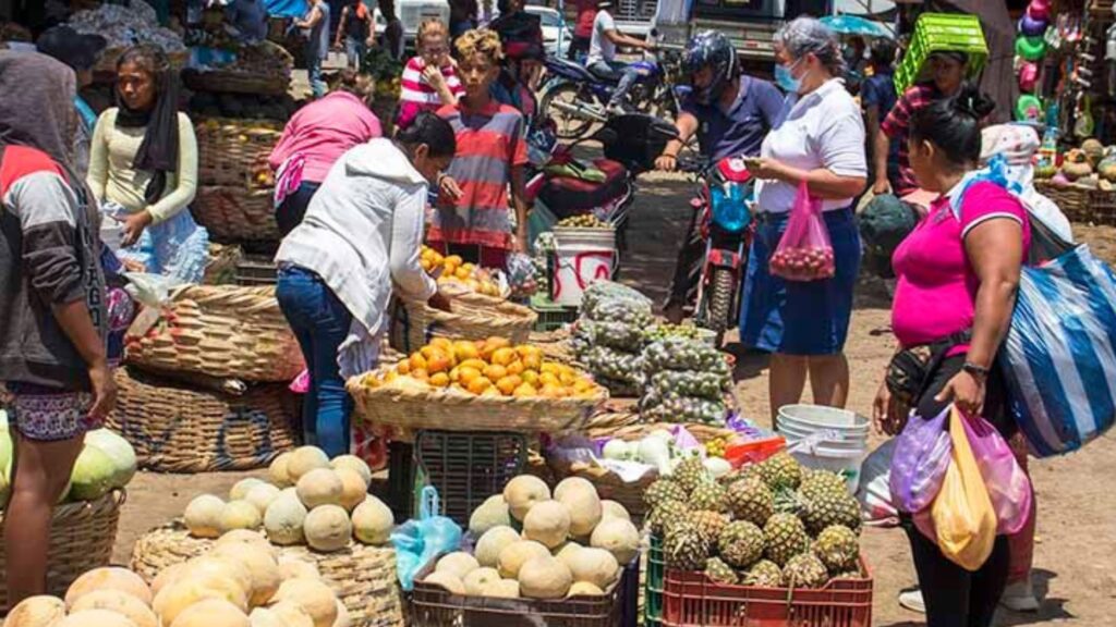 Más del 60% de las familias nicaragüenses gana menos de la mitad del costo de la canasta básica, según sondeo de Hagamos Democracia