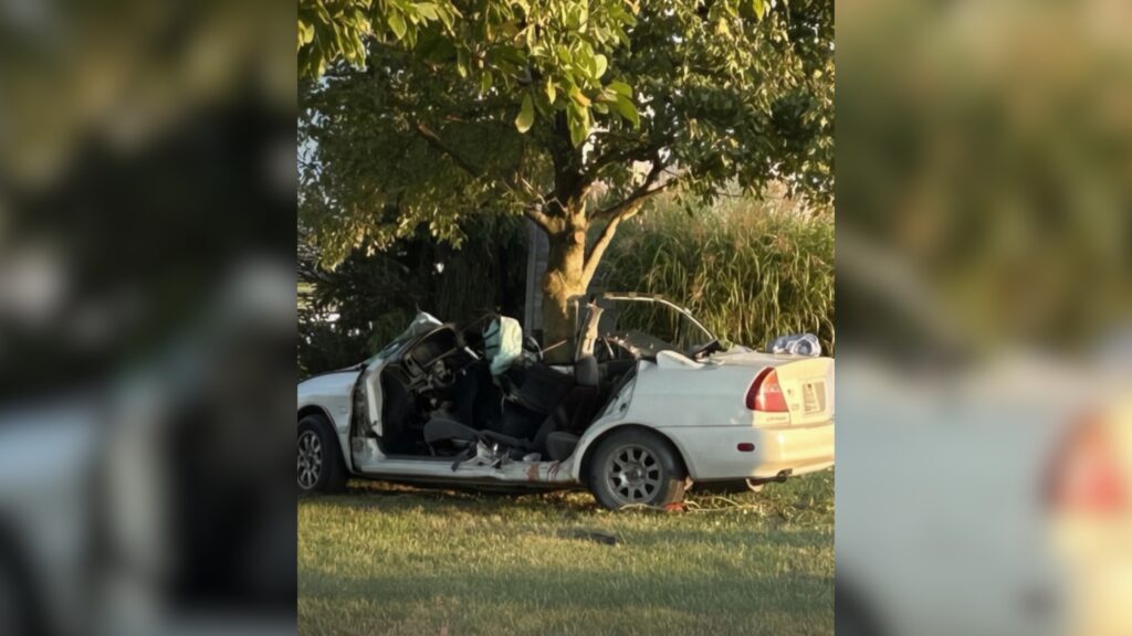 Otro nicaragüense muere en Estados Unidos: Joven fallece tras chocar contra un árbol en Indiana