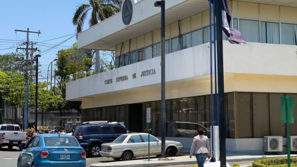 Denuncian purga de abogados de la CSJ: «Es como que nunca te graduaste»