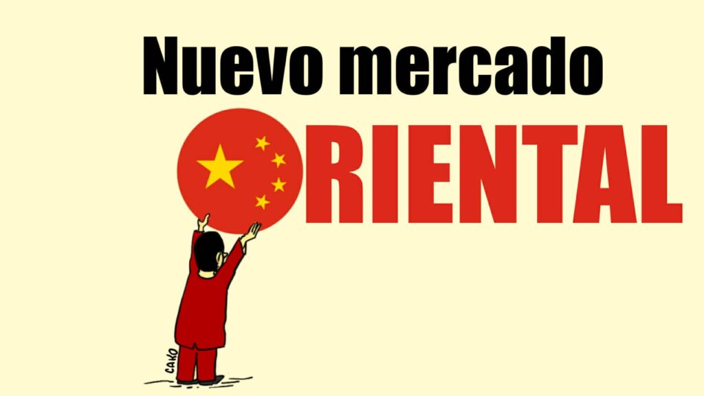 La Caricatura: El nuevo mercado