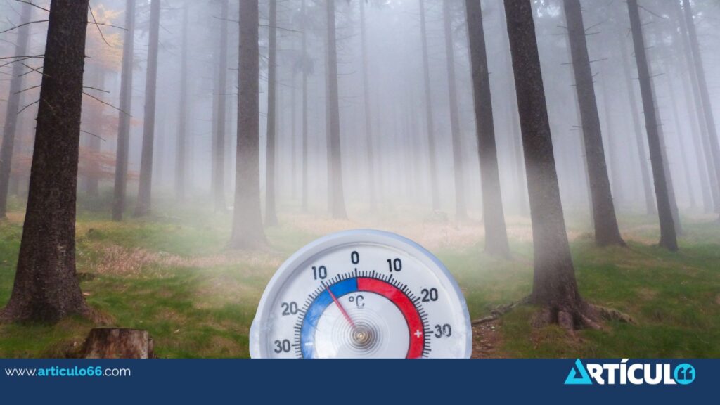 Frente frío provoca temperaturas de hasta 10 °C y obliga a suspender zarpes en el Caribe nicaragüense