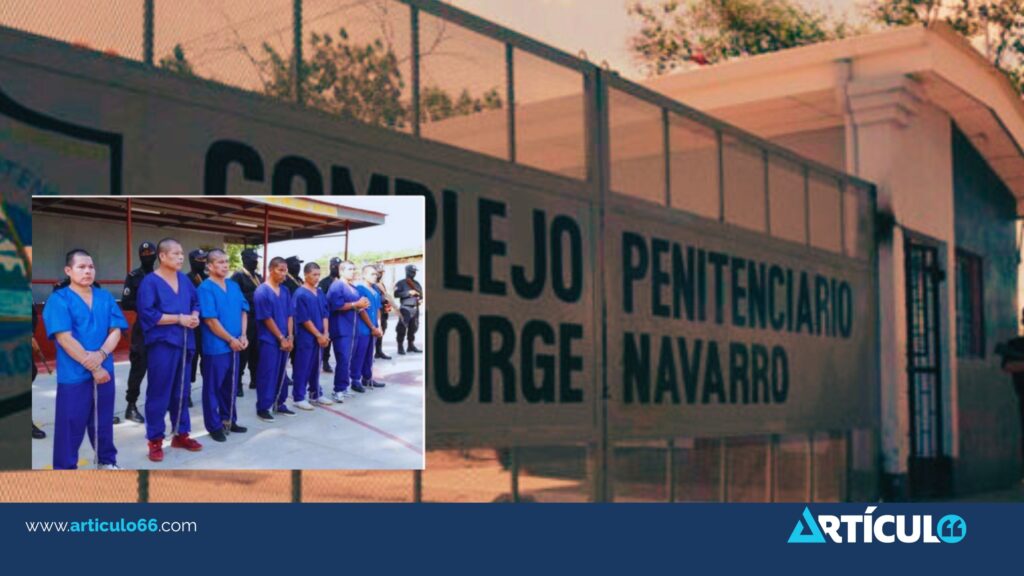 Estados Unidos horrorizado por torturas contra guardabosques: exige liberación «por humanidad»