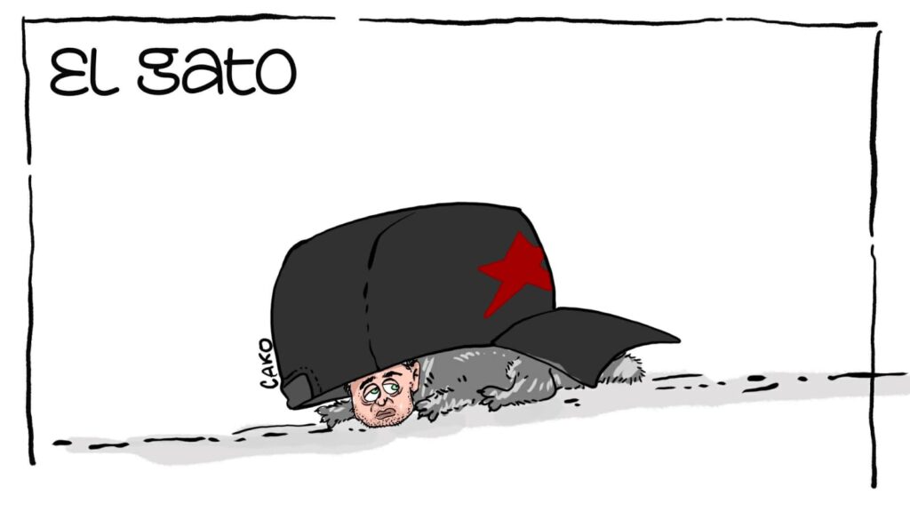 La Caricatura: El gato regañado