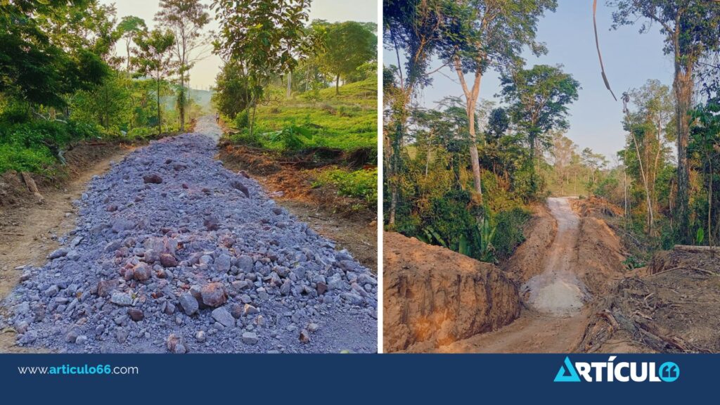 «Carretera del exterminio»: indígenas mayangna denuncian al régimen por arrasar la reserva de Bosawás