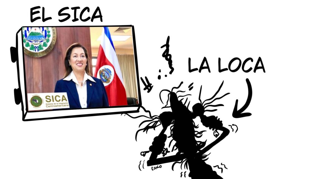La Caricatura: La loca