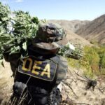 Exjefe de la DEA advierte riesgo de que Nicaragua se convierta en productor de drogas sintéticas por vínculos con China
