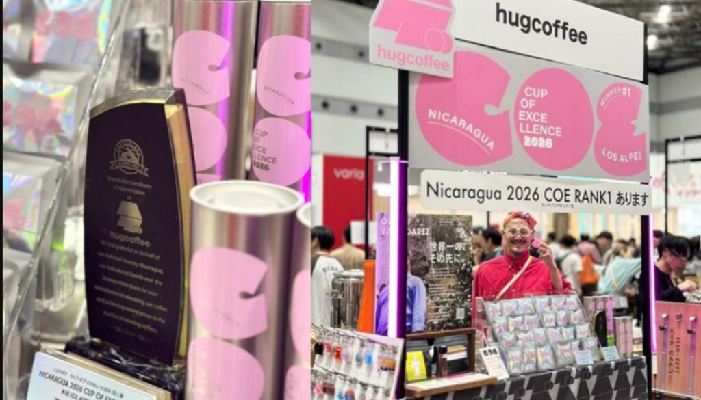 Orgullo nica: Café de Dipilto alcanza US$270.50 por libra en subasta de Tokio