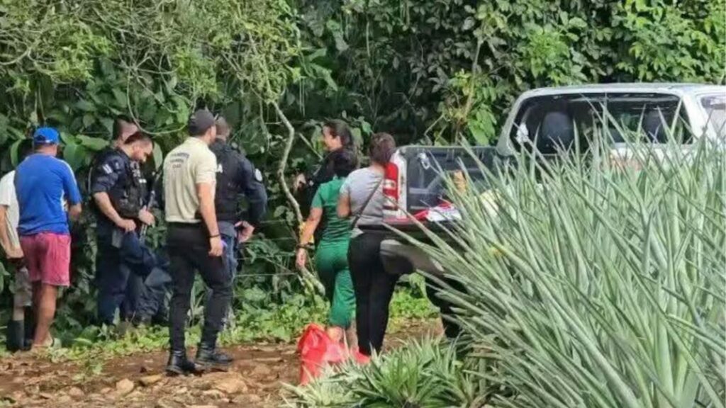 Hallan muerto a nicaragüense en una plantación de piña en Costa Rica